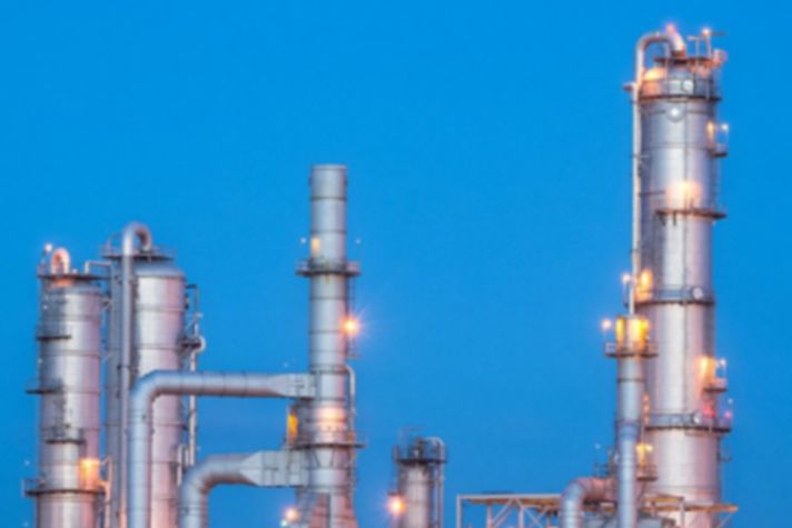  Fixed Gas & Flame Detection