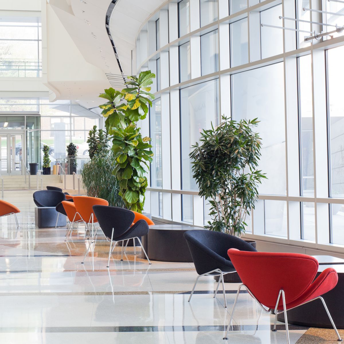 Bright and Stylish Modern Lobby with Colorful Seating
