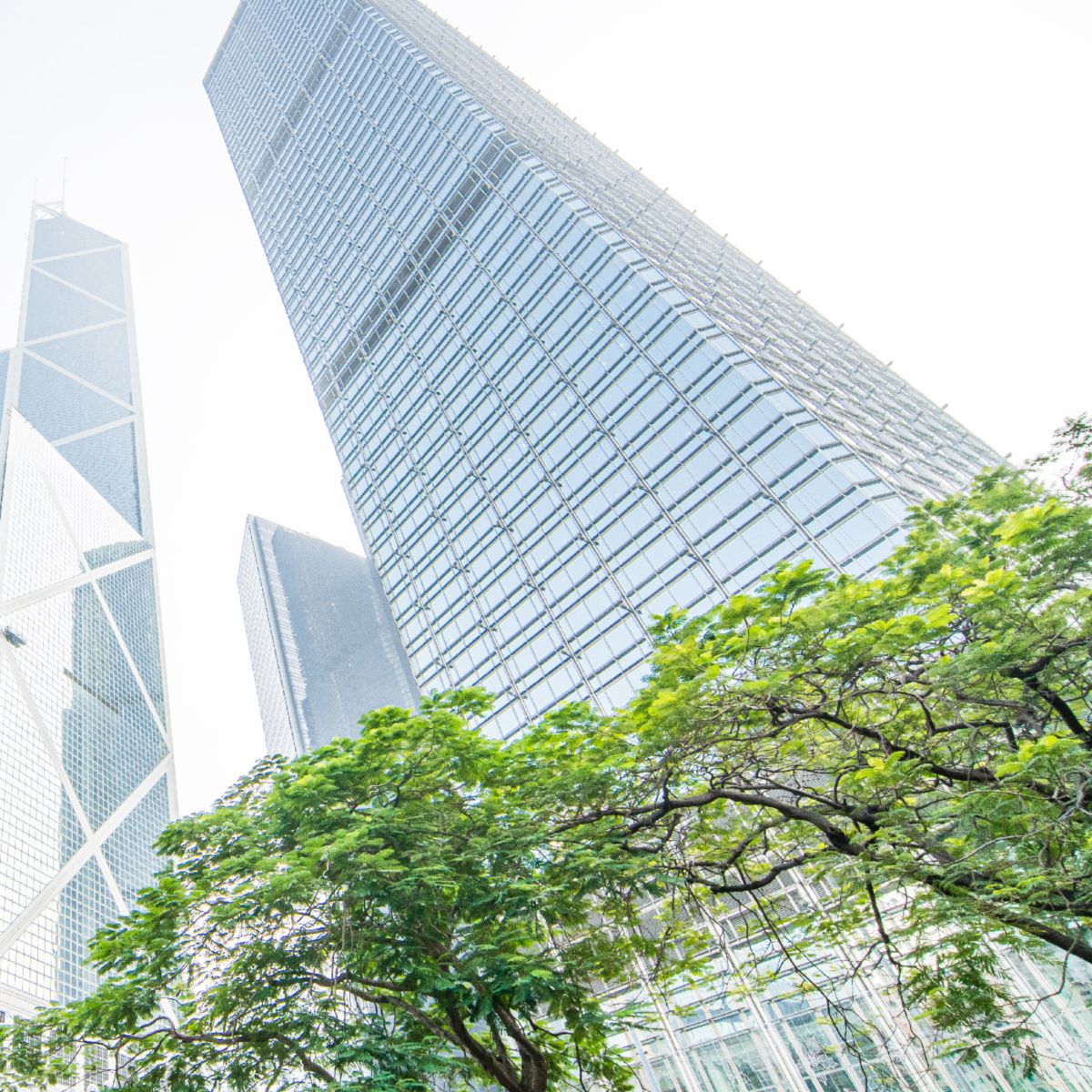 Commercial Buildings