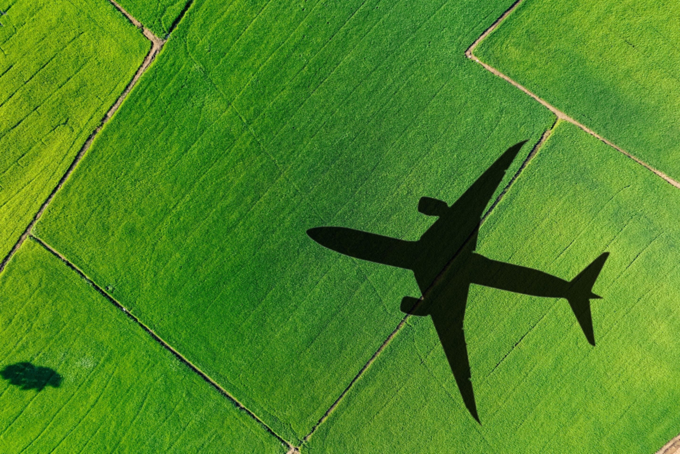 An aerial view captures the shadow of an airplane flying over vibrant green fields, highlighting the contrast between nature and flight.