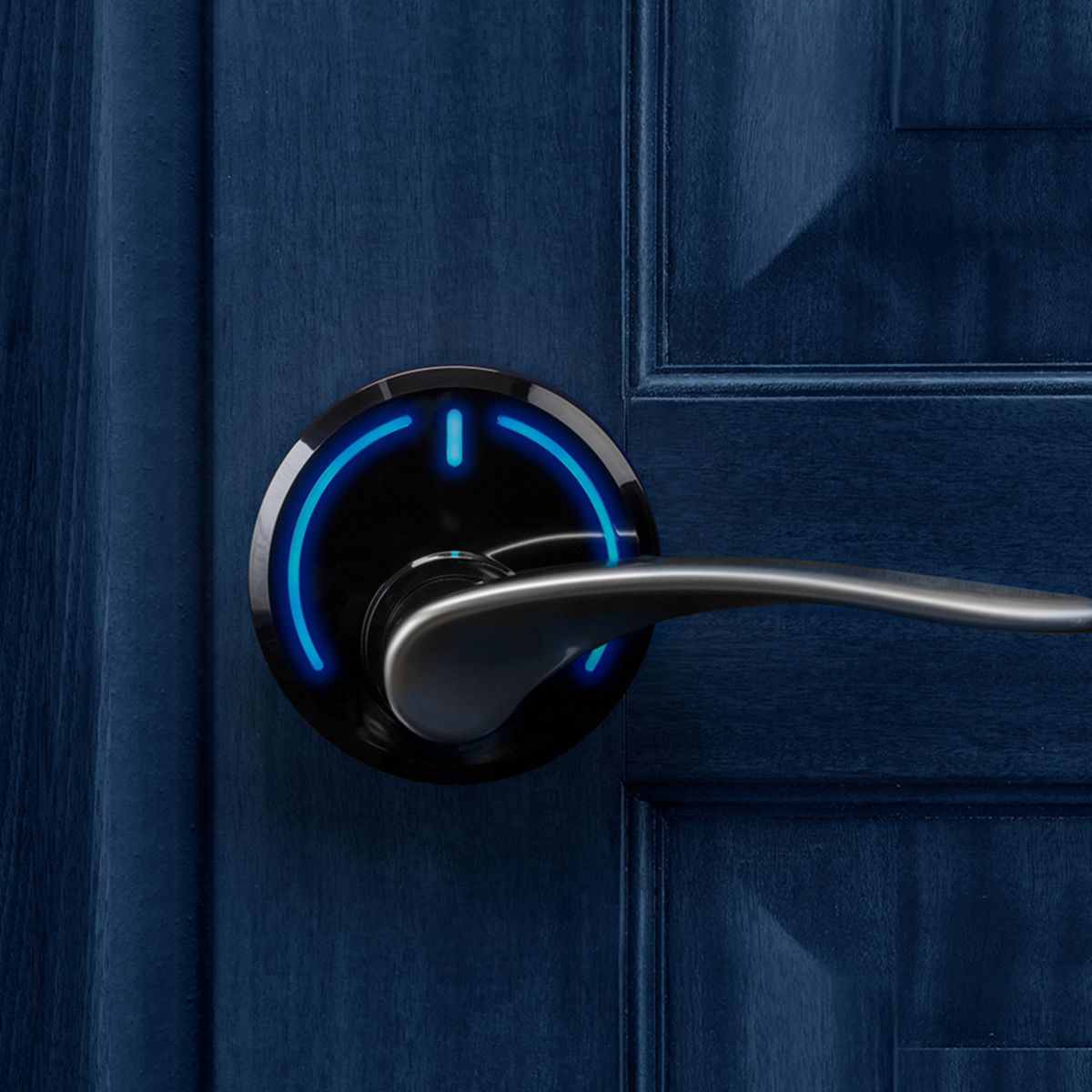 Onity serene brushed handle blue door