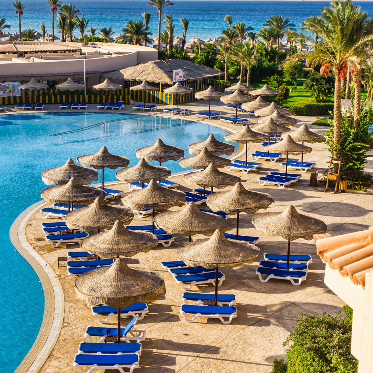 Stunning poolside view with palm trees and sun loungers.