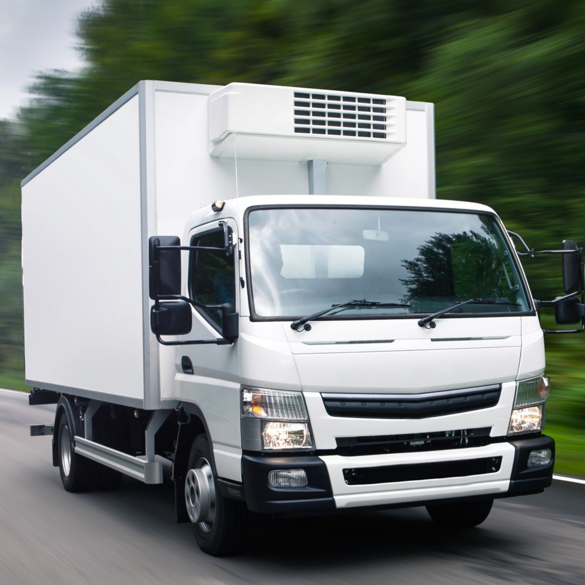 Cargo truck moving on road. Concept: cargo road transportation, truck delivery, moving, logistics theme, logo free 