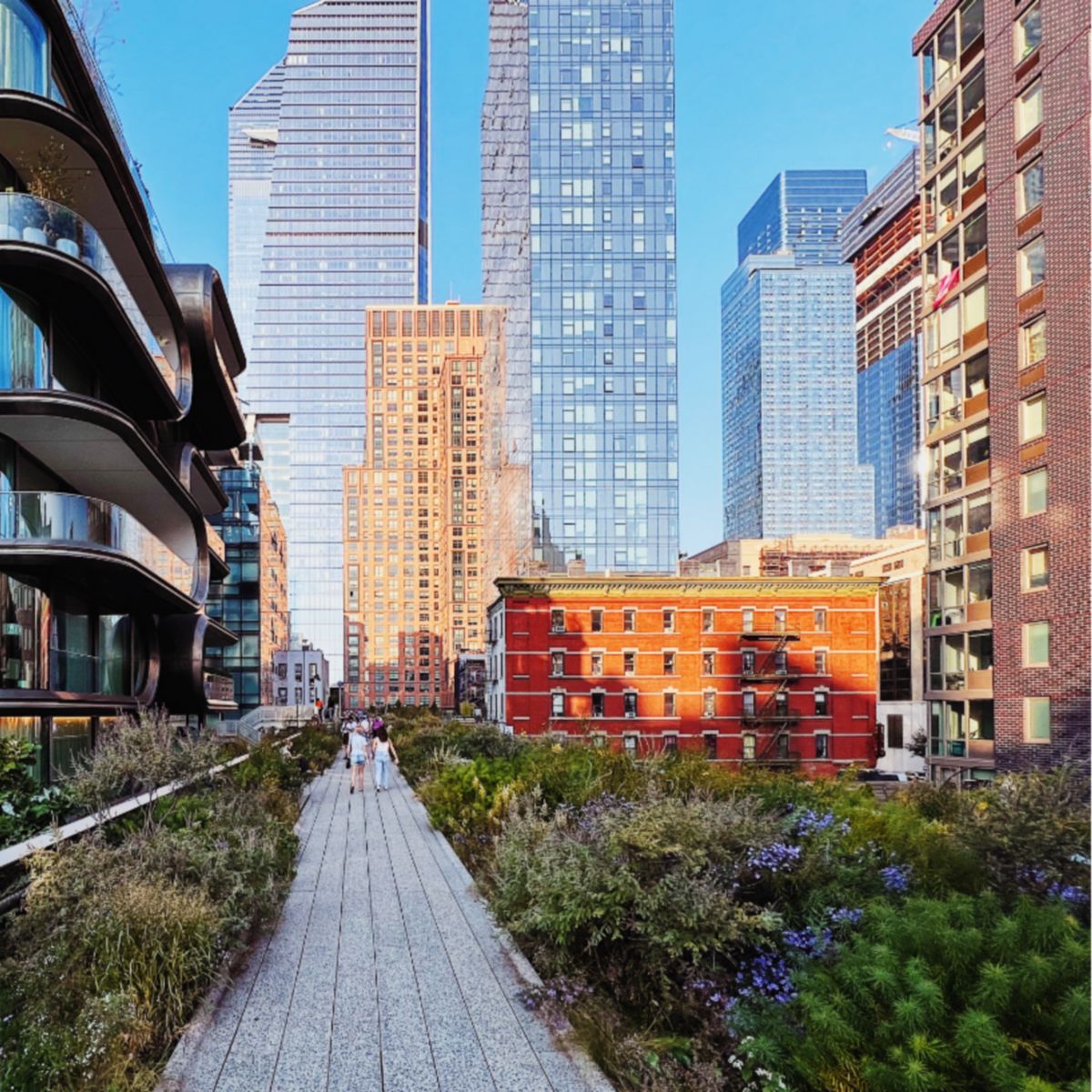 Modern buildings with greenery and commercial buildings