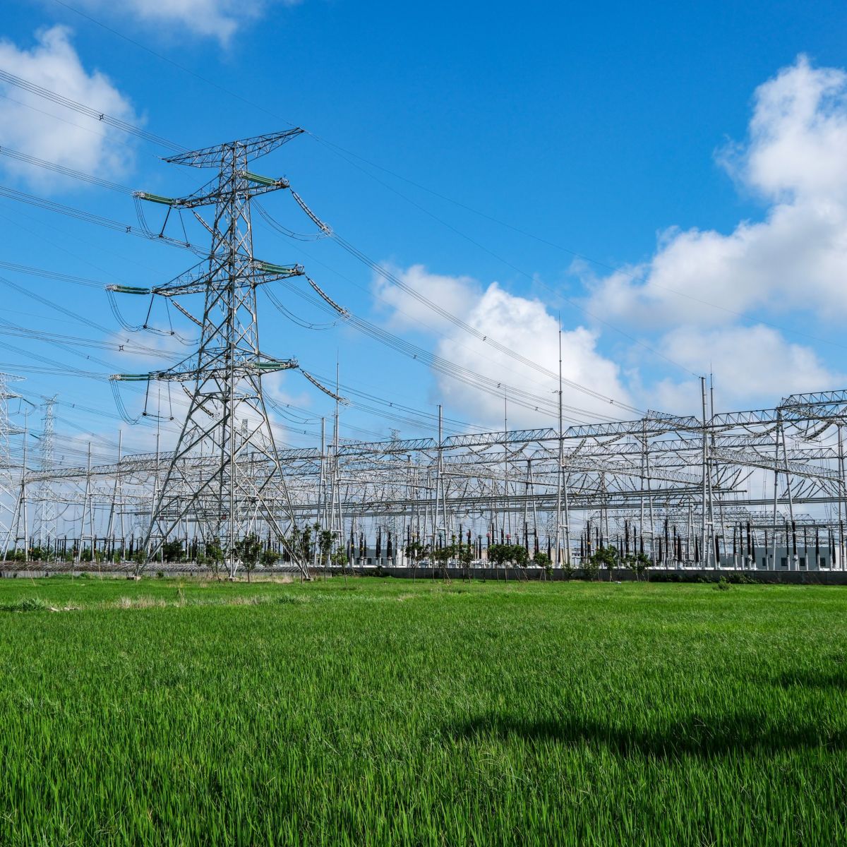 Metal electricity pylons stand against a vibrant blue sky above a lush green field at a power substation.