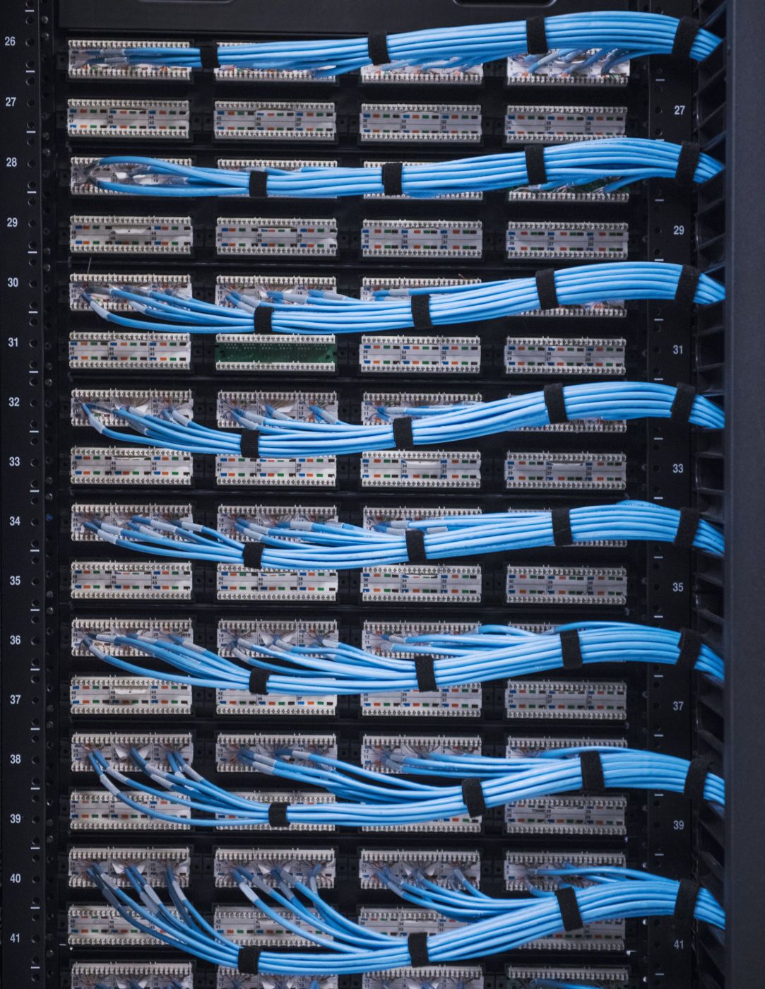Organized blue network cables neatly terminated into patch panels within a server rack, highlighting professional data center infrastructure management.