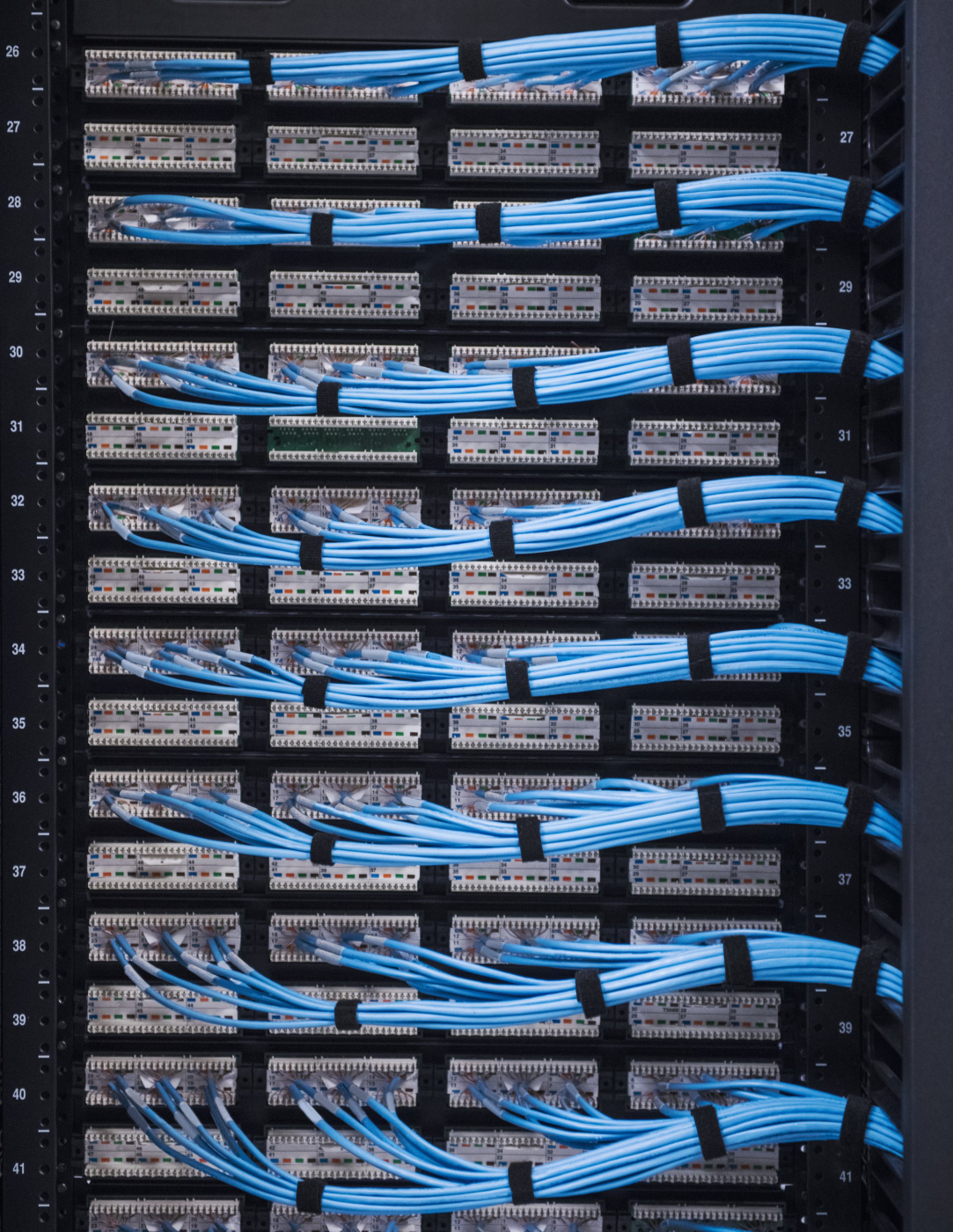 Organized blue network cables neatly terminated into patch panels within a server rack, highlighting professional data center infrastructure management.